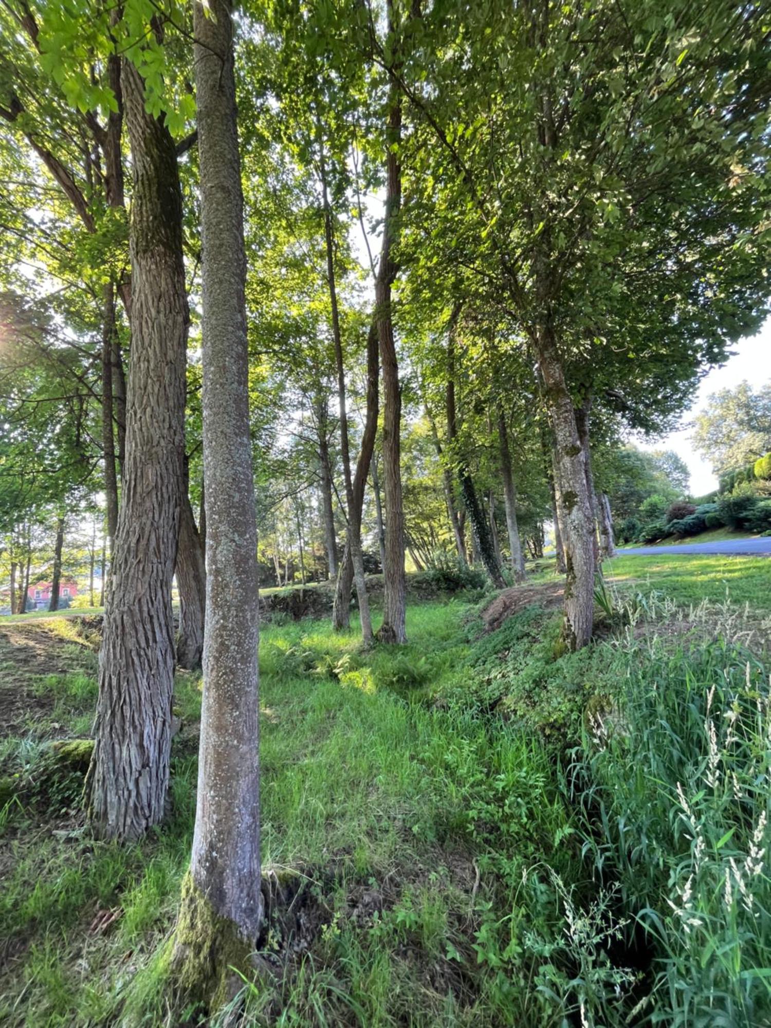 Apartman Pisarovka Lesna  Exteriér fotografie